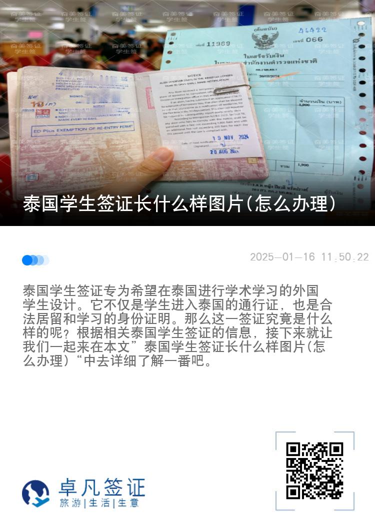 泰国学生签证长什么样图片(怎么办理)